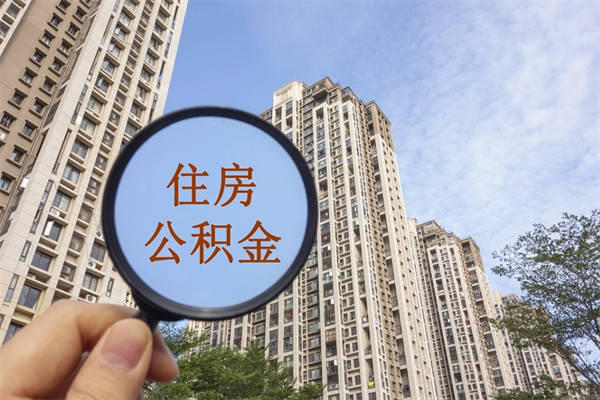 齐河怎么取住房住房公积金（取住房公积金方法）